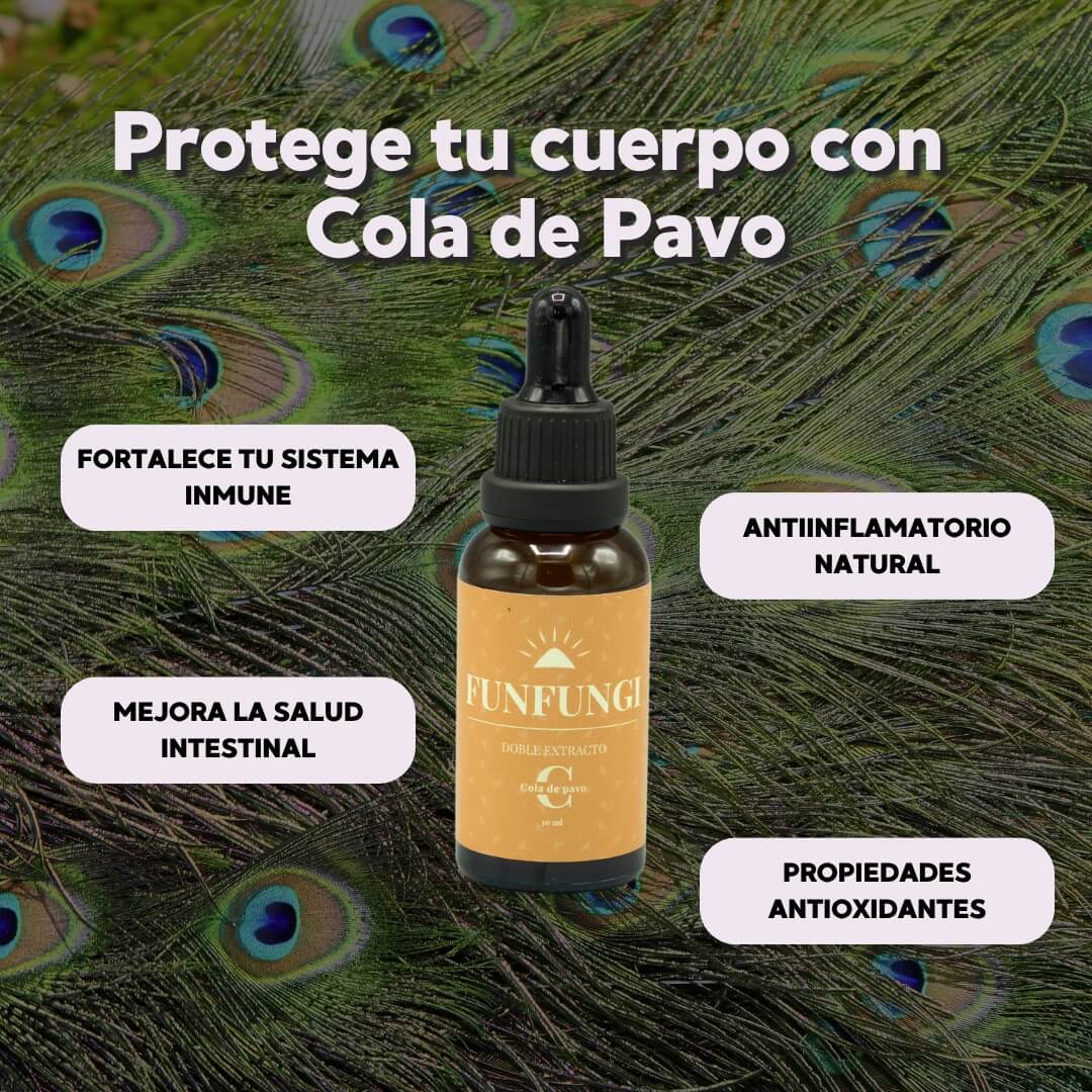 Pack de 4 Extractos de Hongos Adaptógenos - ¡Optimiza tu Bienestar! 30ml c/u