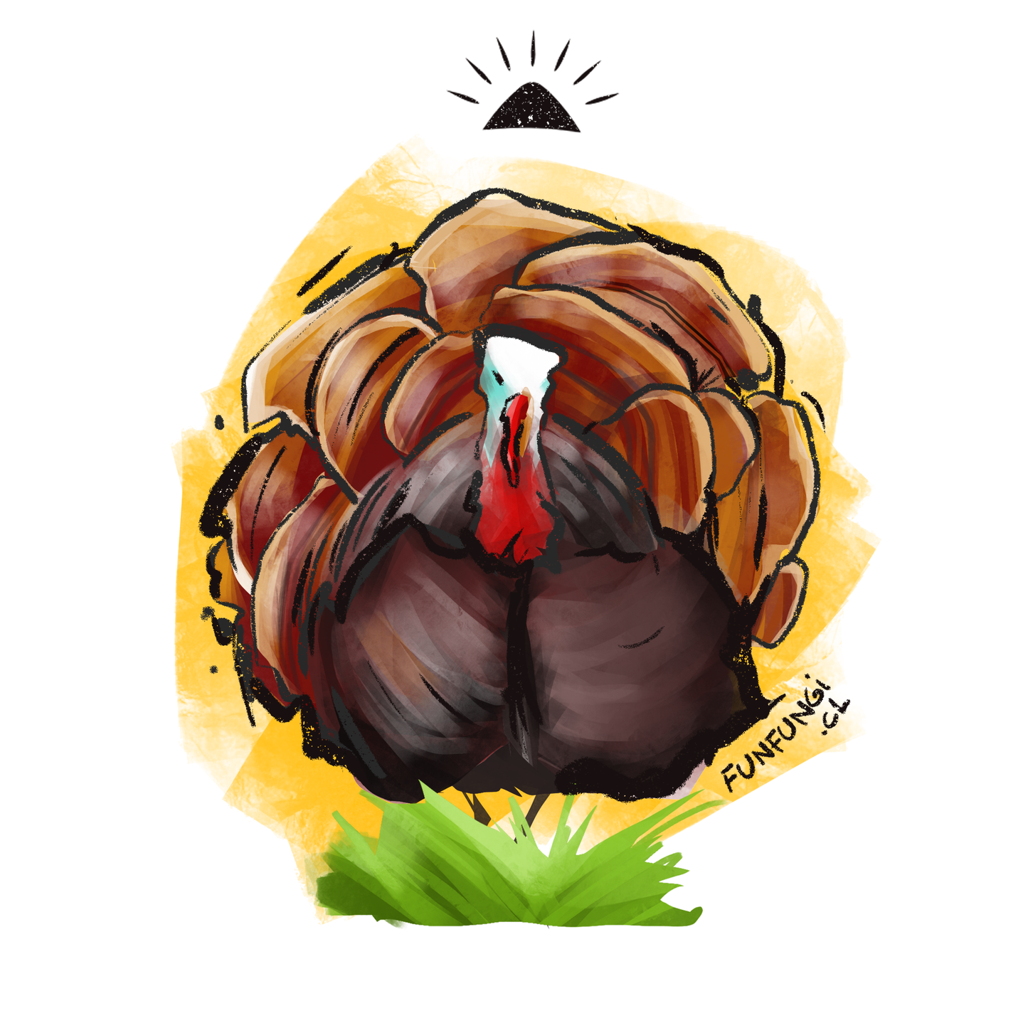 Cola de Pavo - Mejora tu sistema inmune - Doble extracción 30ml