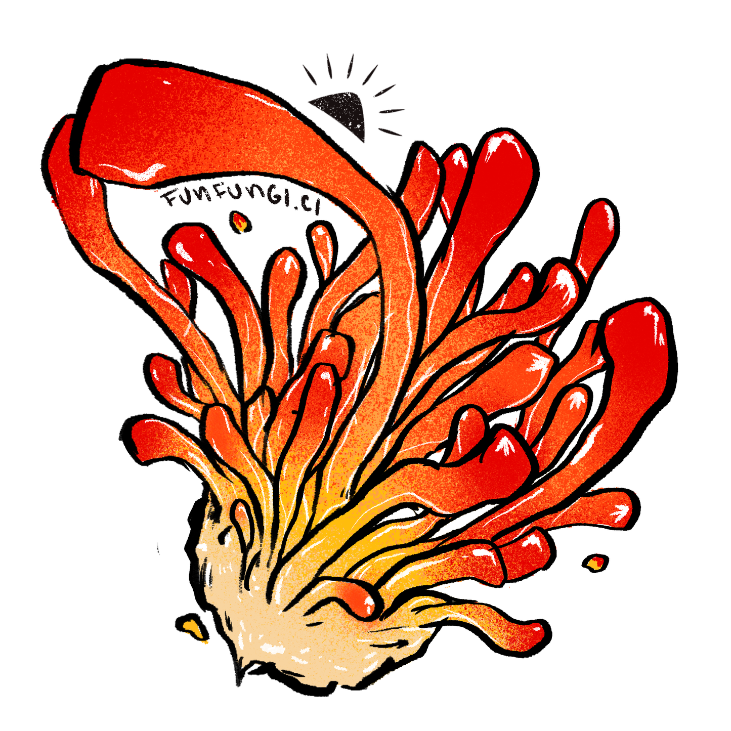 Cordyceps - Aumenta tu energía - Doble extracción