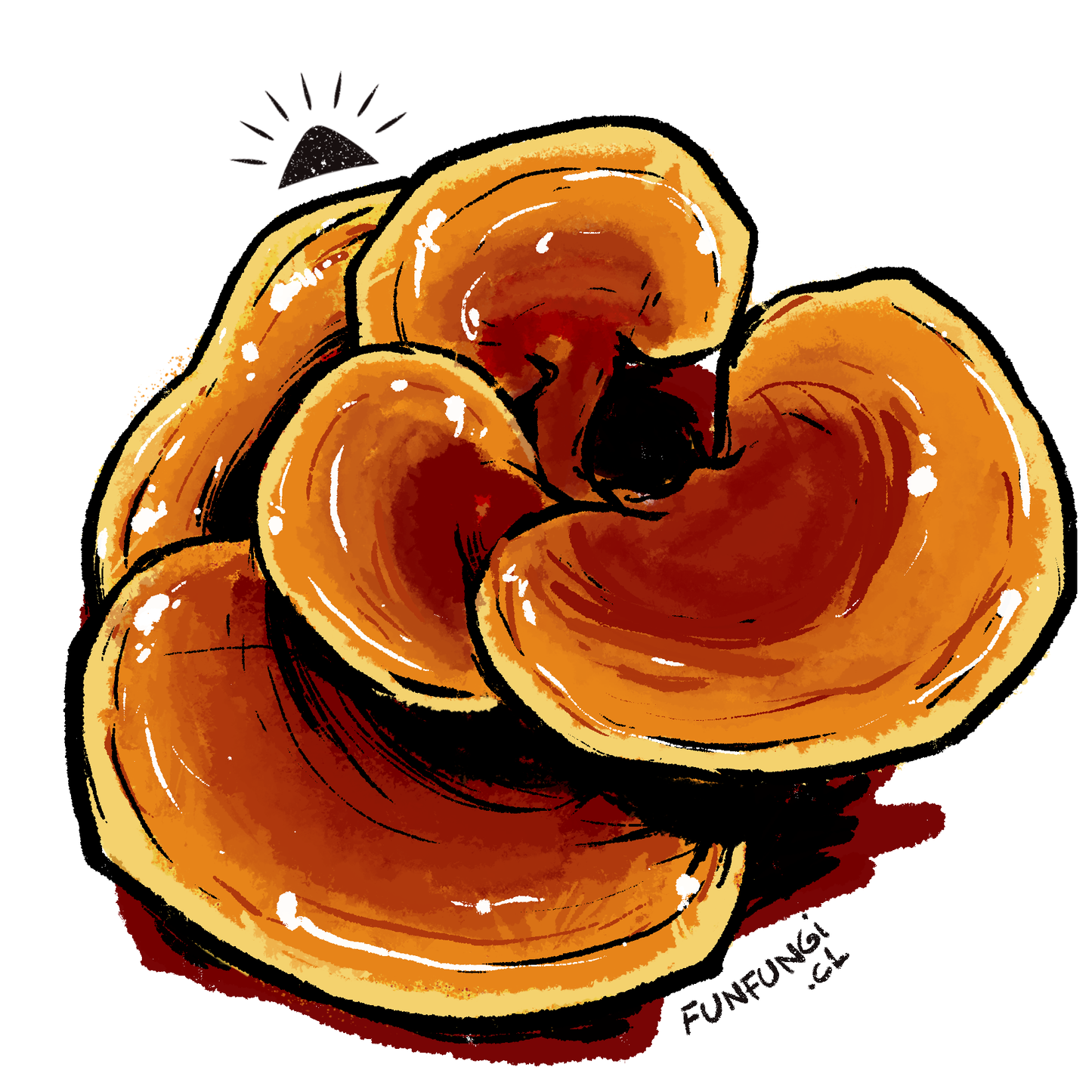 Reishi - Mejora tu descanso - Doble extracción 30 ml