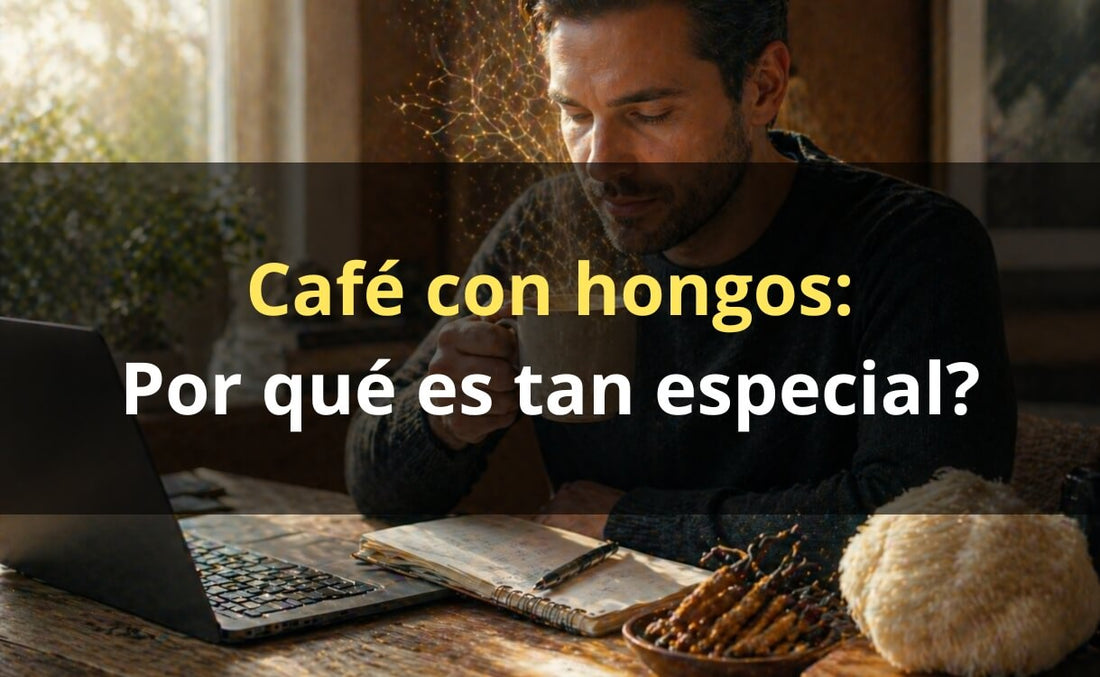 FunCoffee – café con Melena de León y Cordyceps FunFungi Chile