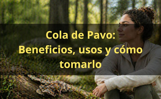 Cola de Pavo: Para qué Sirve, Beneficios y Cómo Tomarlo