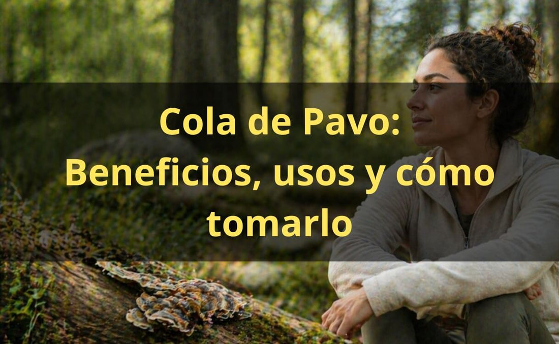 Cola de Pavo: Para qué Sirve, Beneficios y Cómo Tomarlo
