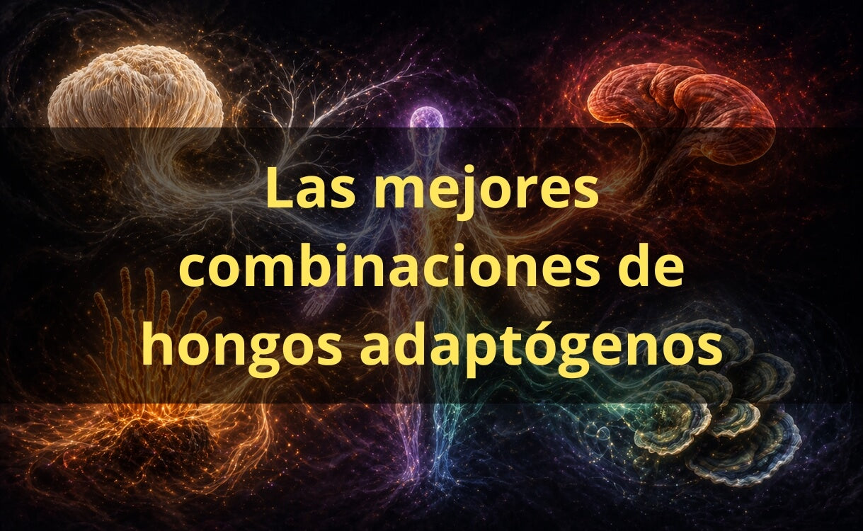 Combinaciones de hongos adaptógenos – extractos FunFungi Chile