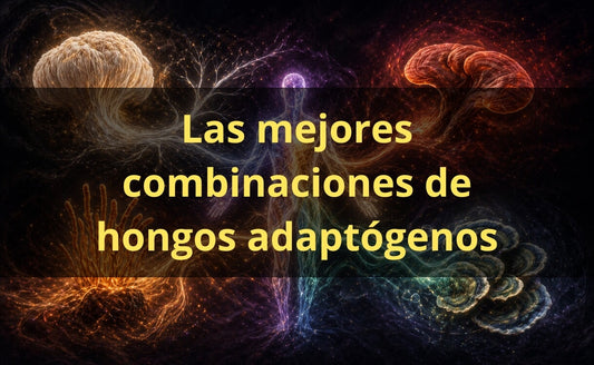Combinaciones de hongos adaptógenos – extractos FunFungi Chile