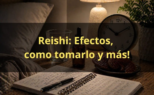 Cómo tomar Reishi en gotas – dosis y horario FunFungi Chile