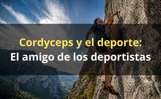 Cordyceps para deportistas – protocolo FunFungi Chile