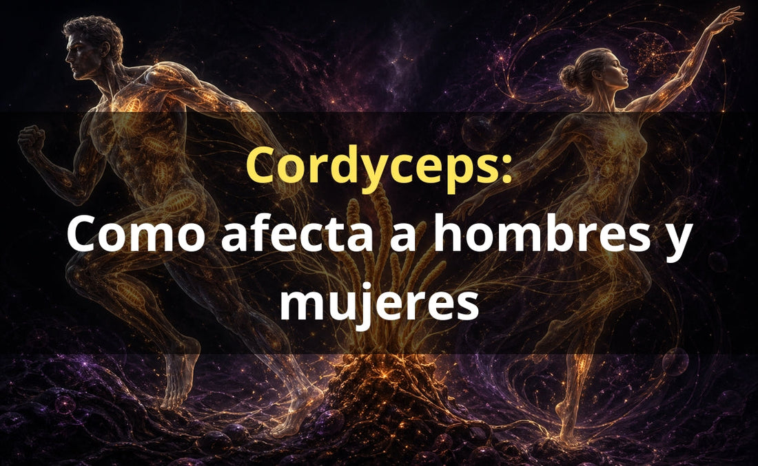 Cordyceps para hombres y mujeres – extracto gotas FunFungi Chile