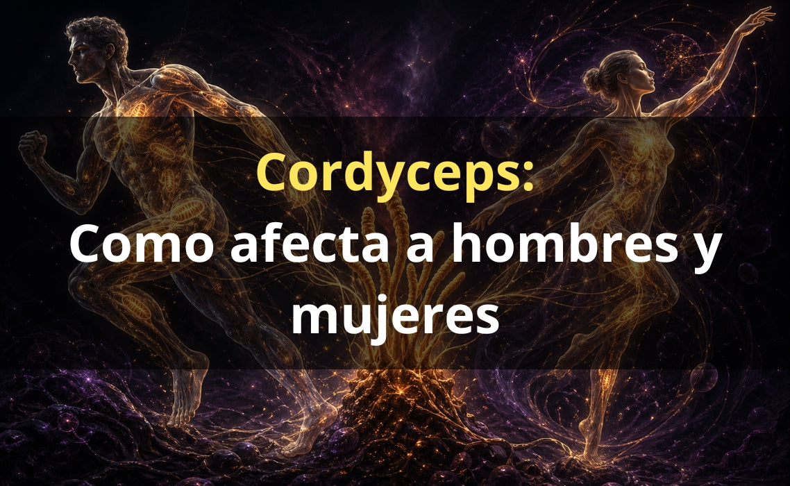 Cordyceps para hombres y mujeres – extracto gotas FunFungi Chile