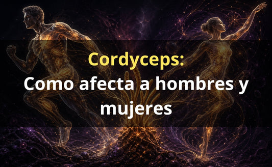 Cordyceps para hombres y mujeres – extracto gotas FunFungi Chile