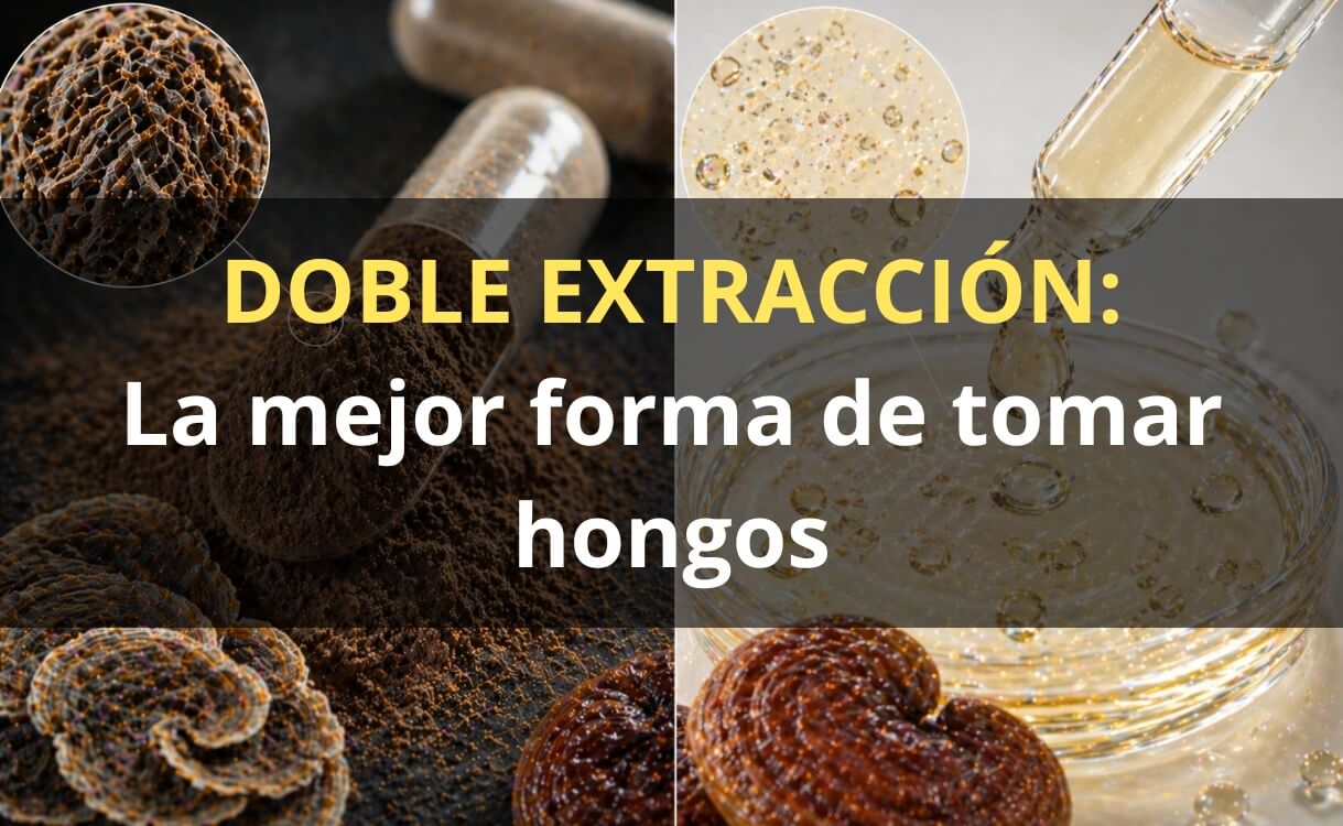 Doble extracción de hongos – proceso extracto FunFungi