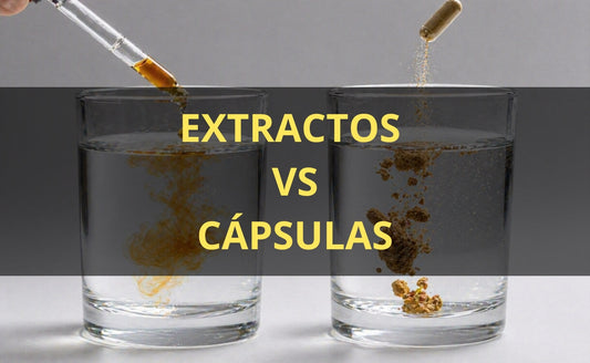 Extracto de hongos en gotas vs cápsulas – FunFungi Chile