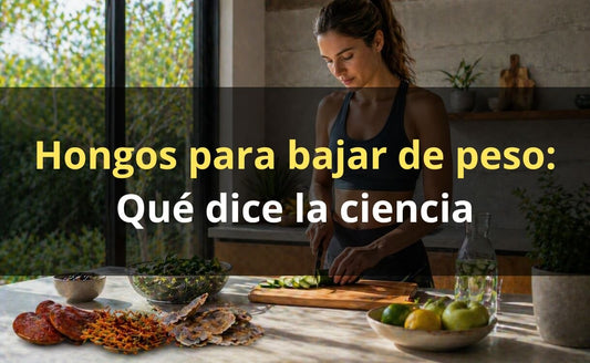 Hongos para bajar de peso – Reishi y Cordyceps FunFungi Chile
