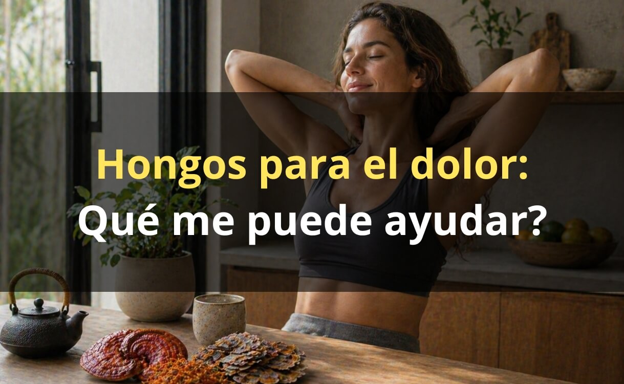 Hongos adaptógenos para el dolor – antiinflamatorio FunFungi Chile