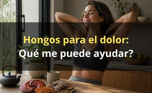 Hongos adaptógenos para el dolor – antiinflamatorio FunFungi Chile