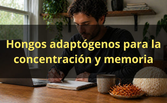 Hongos para la concentración y memoria – extractos FunFungi Chile