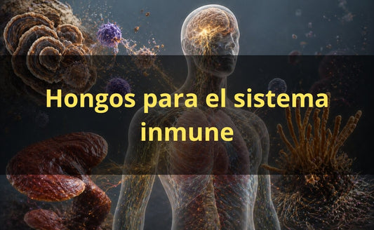 Hongos adaptógenos para el sistema inmune – extractos FunFungi Chile
