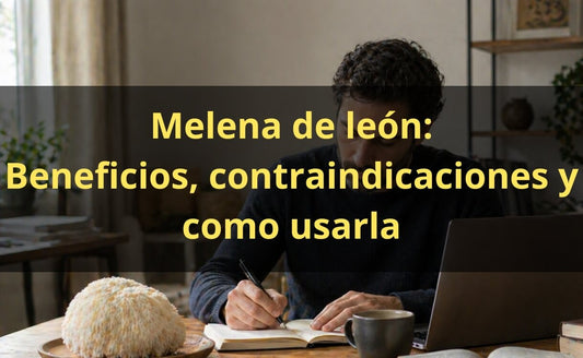 Melena de León: Beneficios, Contraindicaciones y Dosis Recomendada
