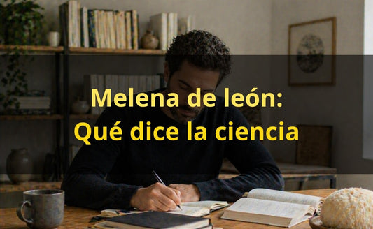 Melena de León: Para qué Sirve, Beneficios Comprobados y Cómo Usarla