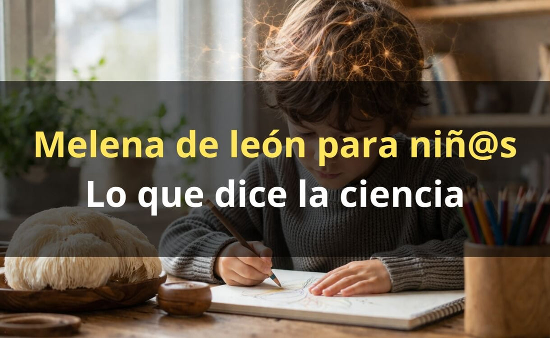 Melena de León para niños – extracto gotas FunFungi Chile