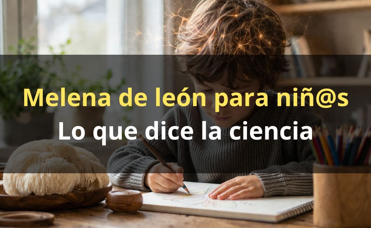 Melena de León para niños – extracto gotas FunFungi Chile