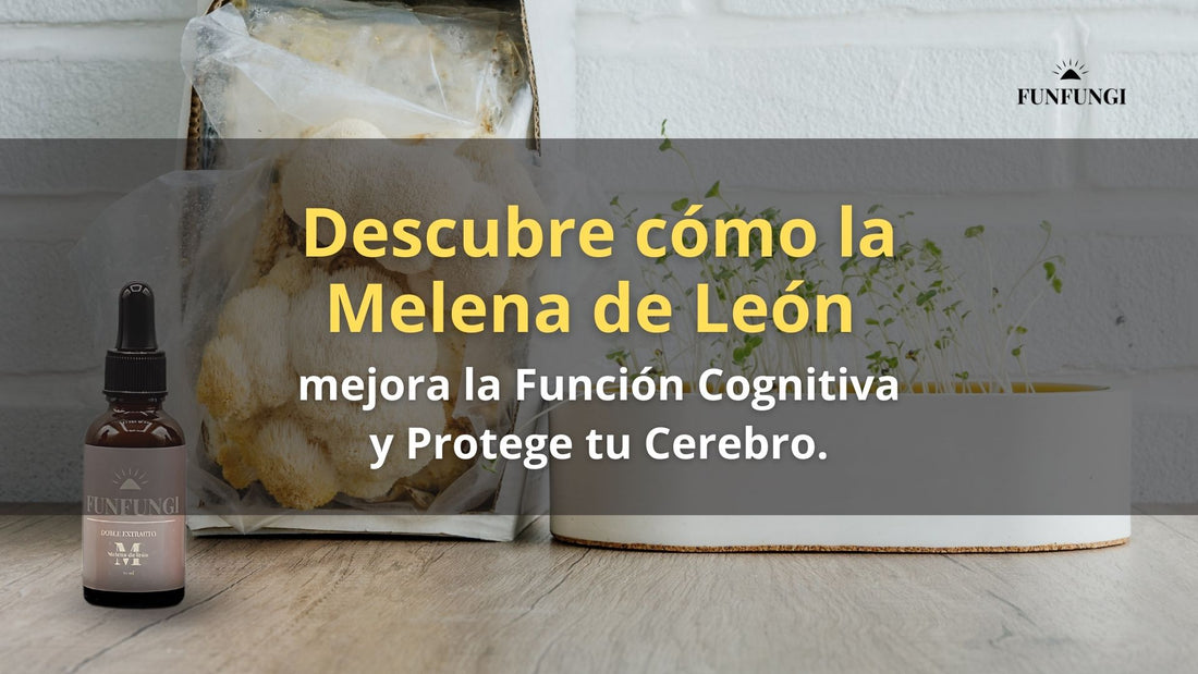 Descubre Cómo la Melena de León Mejora la Función Cognitiva y Protege tu Cerebro.