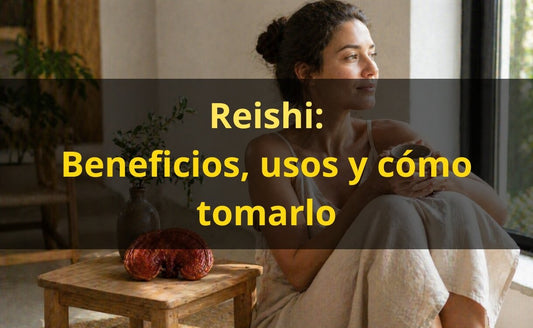 Reishi: Para qué Sirve, Beneficios y Cómo Tomarlo