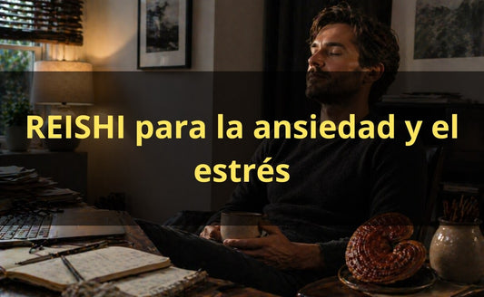 Reishi para la ansiedad y el estrés – extracto FunFungi Chile