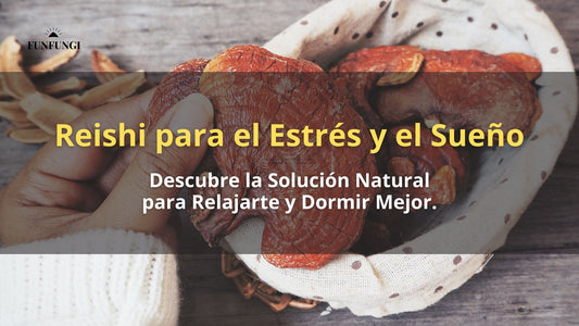 Reishi para el Estrés y el Sueño: Descubre la Solución Natural para Relajarte y Dormir Mejor.