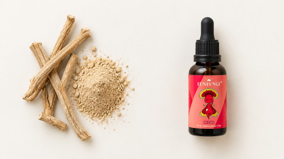 Ashwagandha: Para Qué Sirve, Beneficios y Cómo se Compara con el Reishi