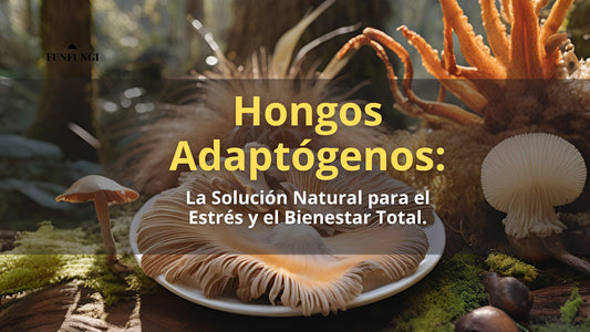 hongos adaptógenos