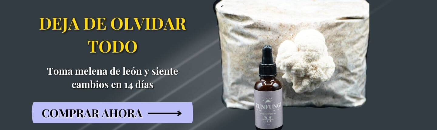 custom-slideshow-image-desktop-block_PWCXwj