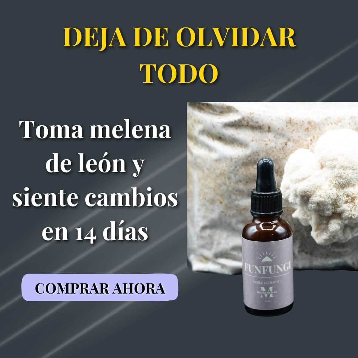 custom-slideshow-image-mobile-block_PWCXwj