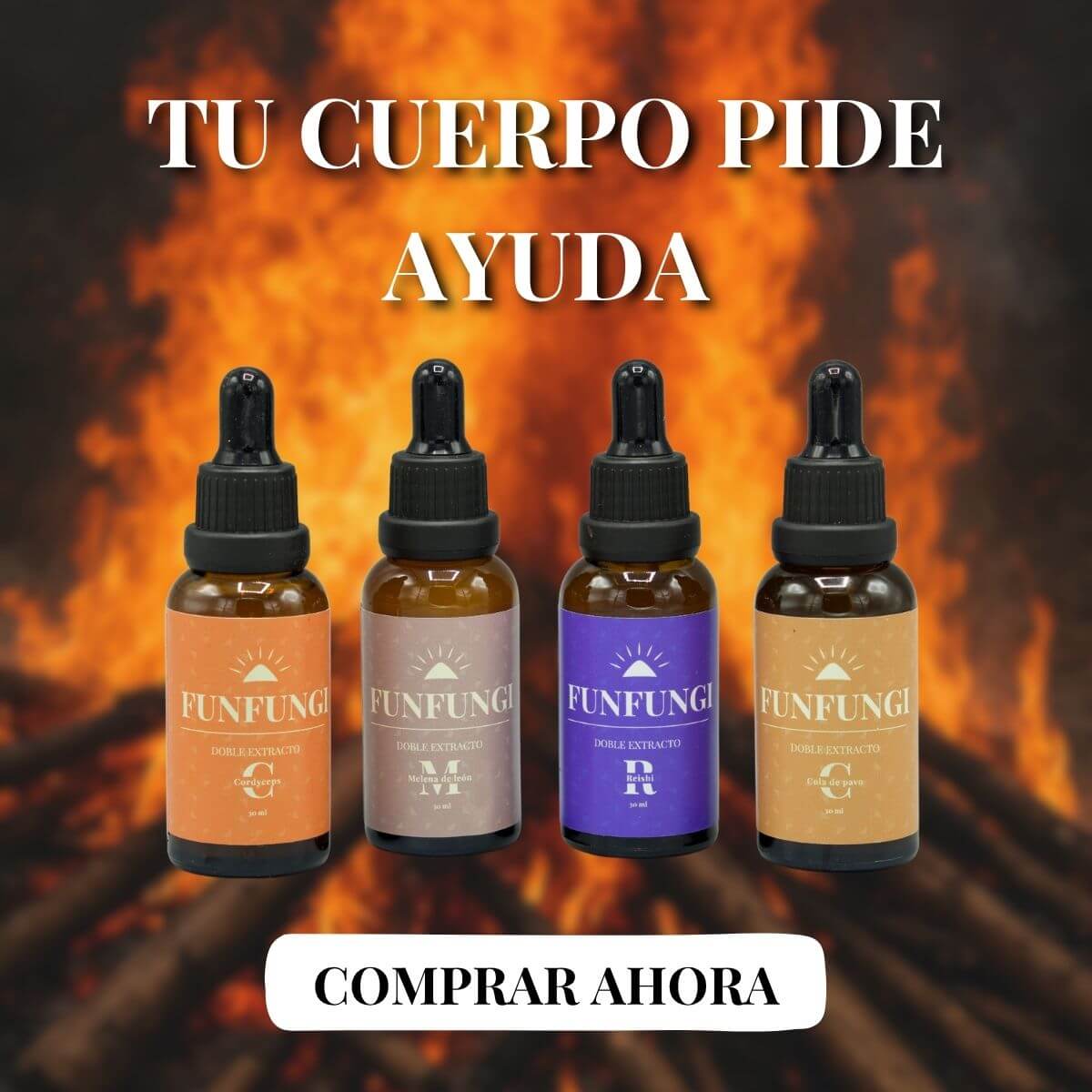 custom-slideshow-image-mobile-block_hfKAUz