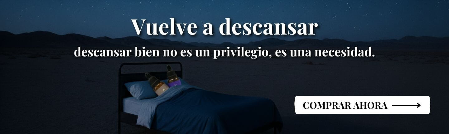 custom-slideshow-image-desktop-block_pz4aEt