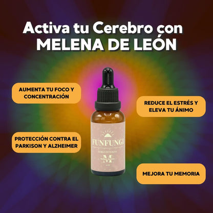 Pack de 4 Extractos de Hongos Adaptógenos - ¡Optimiza tu Bienestar! 30ml c/u