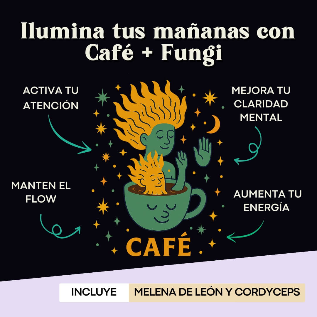 Beneficios del FunCoffee FunFungi con Melena de León y Cordyceps: activa tu atención, mejora tu claridad mental, aumenta tu energía y mantén el flow.