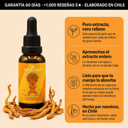 Extracto de Cordyceps FunFungi 30 ml: puro extracto sin relleno, elaborado en Chile, con garantía de 60 días y más de 1.000 reseñas 5 estrellas.
