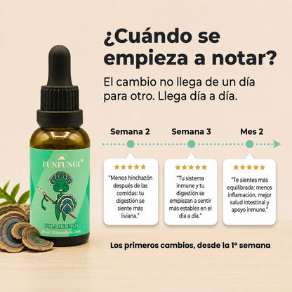 ¿Cuándo se nota el efecto de la Cola de Pavo FunFungi? Desde la semana 2 menos hinchazón, en la semana 3 mejor digestión y al mes 2 más sistema inmune.