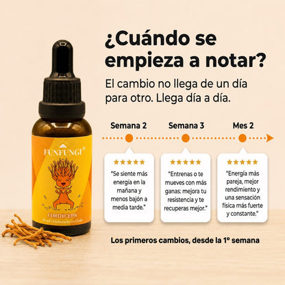 ¿Cuándo se nota el efecto del Cordyceps FunFungi? Desde la semana 2 más energía, en la semana 3 mejor resistencia y al mes 2 mejor rendimiento físico.