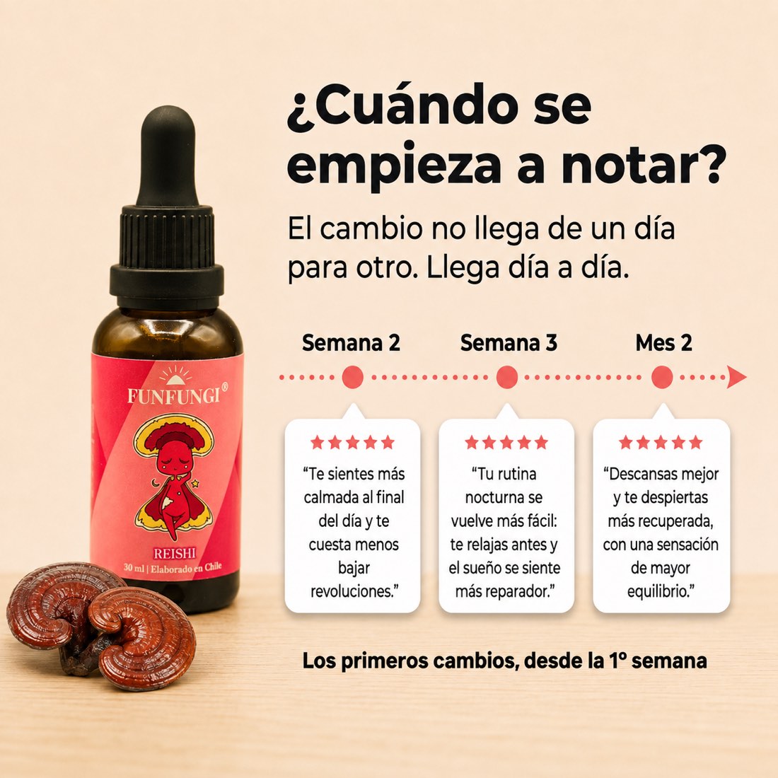 ¿Cuándo se nota el efecto del Reishi FunFungi? Desde la semana 2 mejora la calma, en la semana 3 el sueño y al mes 2 el descanso y equilibrio.