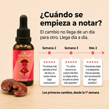 ¿Cuándo se nota el efecto del Reishi FunFungi? Desde la semana 2 mejora la calma, en la semana 3 el sueño y al mes 2 el descanso y equilibrio.