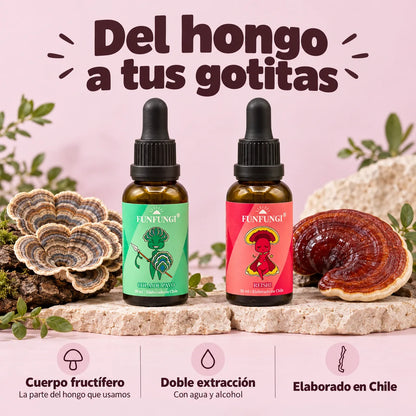 Extractos FunFungi de Cola de Pavo y Reishi junto a sus hongos: cuerpo fructífero, doble extracción con agua y alcohol y elaboración en Chile.