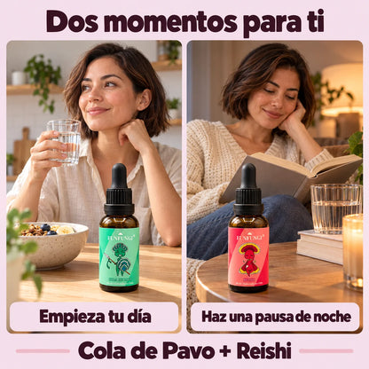 Cola de Pavo FunFungi junto al desayuno y Reishi junto a una mujer que lee un libro por la noche.