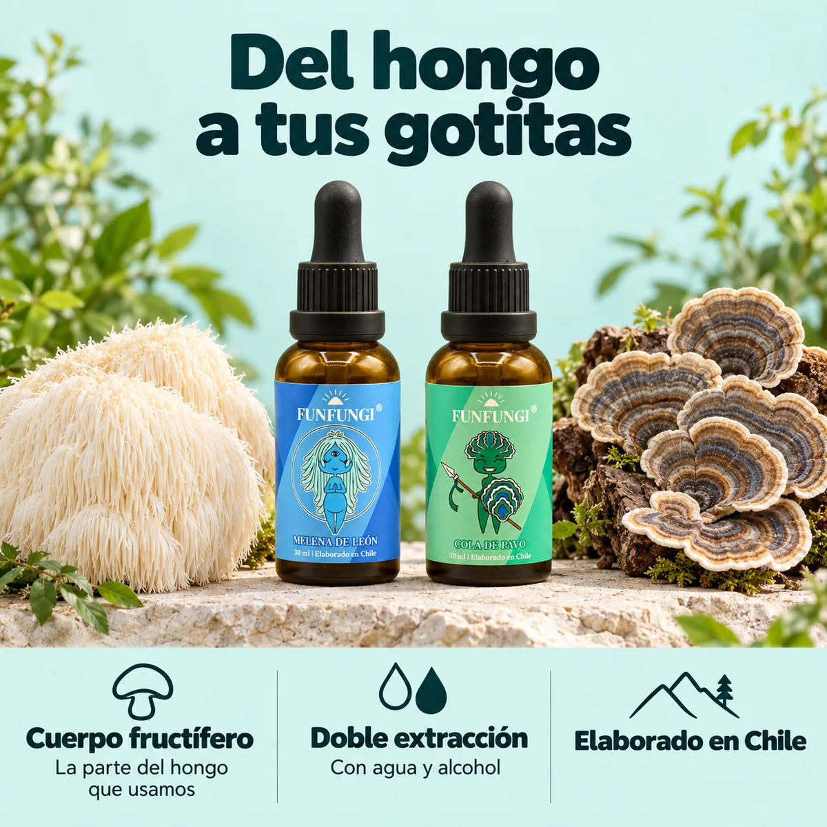 Extractos FunFungi de Melena de León y Cola de Pavo junto a sus hongos: cuerpo fructífero, doble extracción con agua y alcohol y elaboración en Chile.