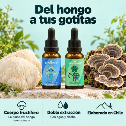 Extractos FunFungi de Melena de León y Cola de Pavo junto a sus hongos: cuerpo fructífero, doble extracción con agua y alcohol y elaboración en Chile.