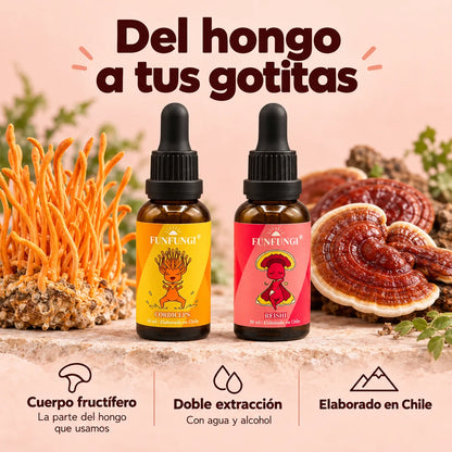 Extractos FunFungi de Cordyceps y Reishi junto a sus hongos: cuerpo fructífero, doble extracción con agua y alcohol y elaboración en Chile.