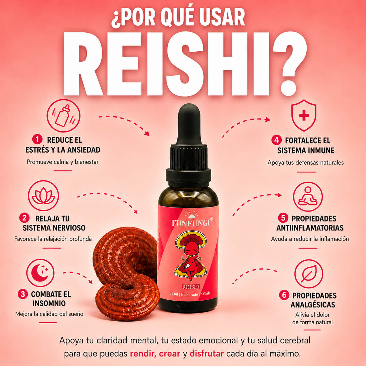 Beneficios del Reishi FunFungi en gotas: reduce el estrés, relaja, combate el insomnio, sistema inmune y antiinflamatorio.